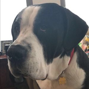 Meet your Posher, Keegan